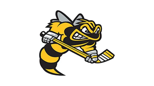 Sarnia Sting Logo